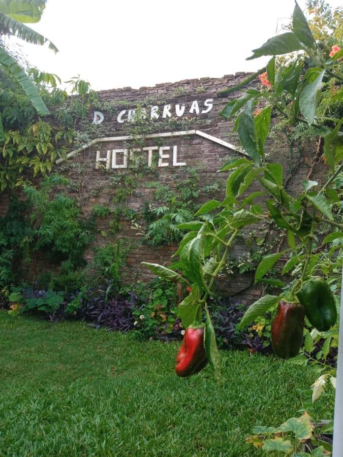 Dch Hostel Backpaquers Concordia Zewnętrze zdjęcie